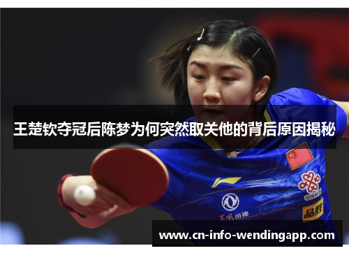 王楚钦夺冠后陈梦为何突然取关他的背后原因揭秘