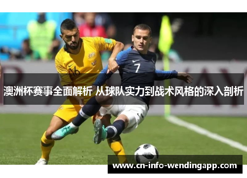 澳洲杯赛事全面解析 从球队实力到战术风格的深入剖析
