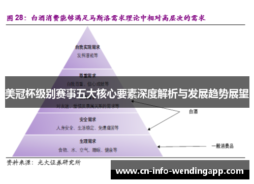 美冠杯级别赛事五大核心要素深度解析与发展趋势展望
