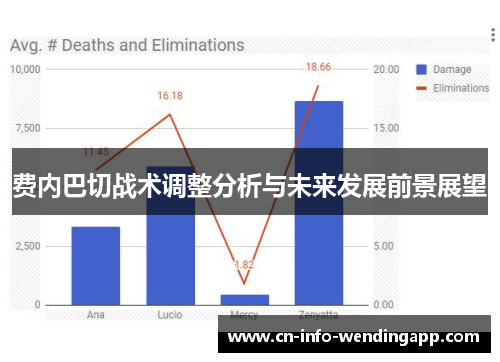 费内巴切战术调整分析与未来发展前景展望