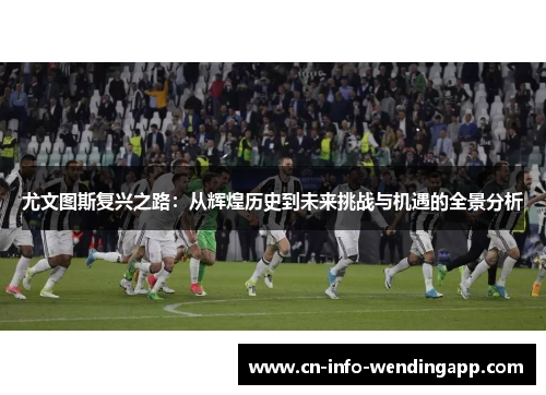 尤文图斯复兴之路：从辉煌历史到未来挑战与机遇的全景分析