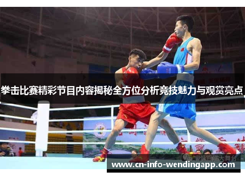 拳击比赛精彩节目内容揭秘全方位分析竞技魅力与观赏亮点