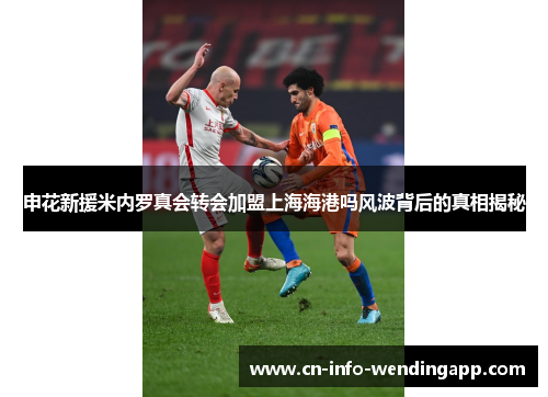 申花新援米内罗真会转会加盟上海海港吗风波背后的真相揭秘