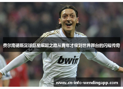 费尔南德斯足球巨星崛起之路从青年才俊到世界舞台的闪耀传奇